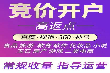SEM代运营机构案例分析：优化策略与执行